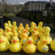 The Bradford on Avon duck race has finally been rescheduled for this weekend