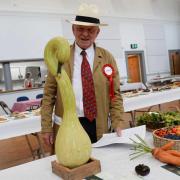 Show co-odinator John Potter takes a close look at the outstanding squash looking like a swan.