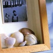 A glass fronted box frame with a holiday shot and shells collected from the beach, from 101 Finishing Touches.