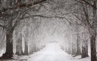 Will it snow in Wiltshire this week? Here’s what the BBC and Met Office say (Canva)