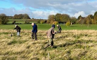 Members of the Friends of Green Staff at Kingsdown Golf Club have helped to plant 800 young trees. Photo: Kevin Wilford