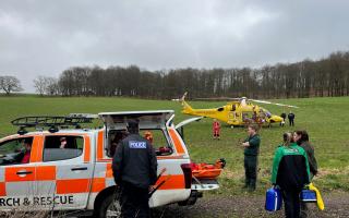 The accident happened in Longleat forest on Sunday, January 29.
