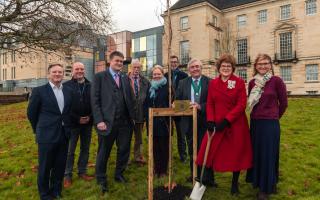 The Queen’s Green Canopy initiative has provided one tree to each Lieutenancy in the country.